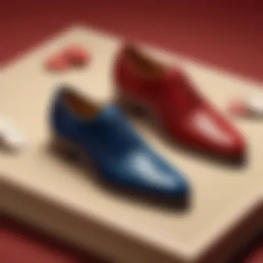 Bally Shoes Collection