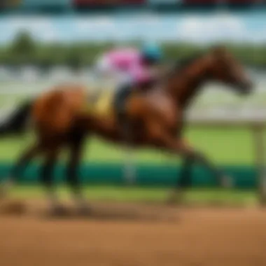 Close-up of a jockey preparing for the race with determination.