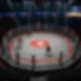 Dynamic MMA Fight Arena