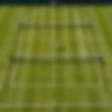 Close-up of grass court surface