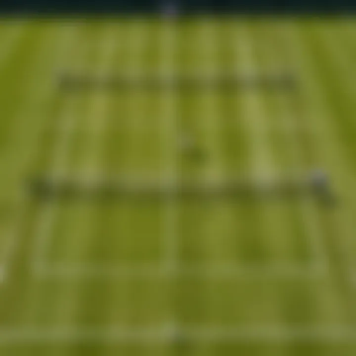 Close-up of grass court surface